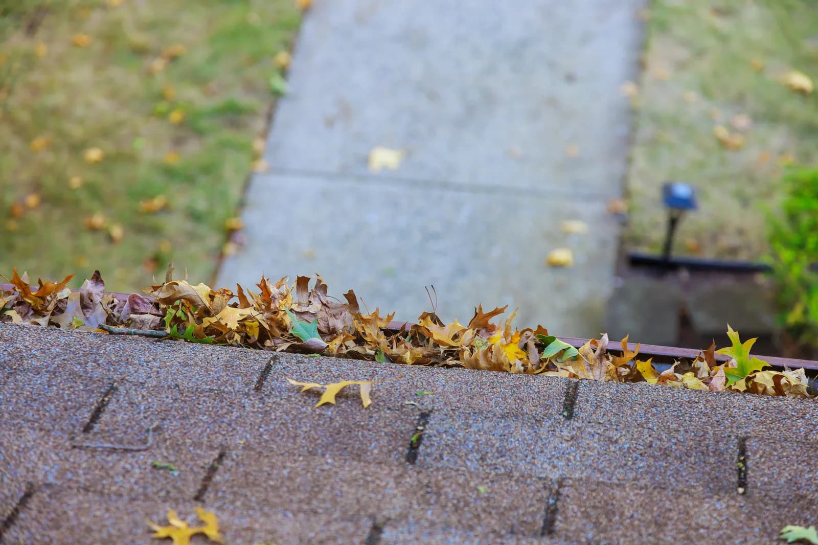 Gutter Debris Removal - Bayview Gutter Cleaning San Leandro