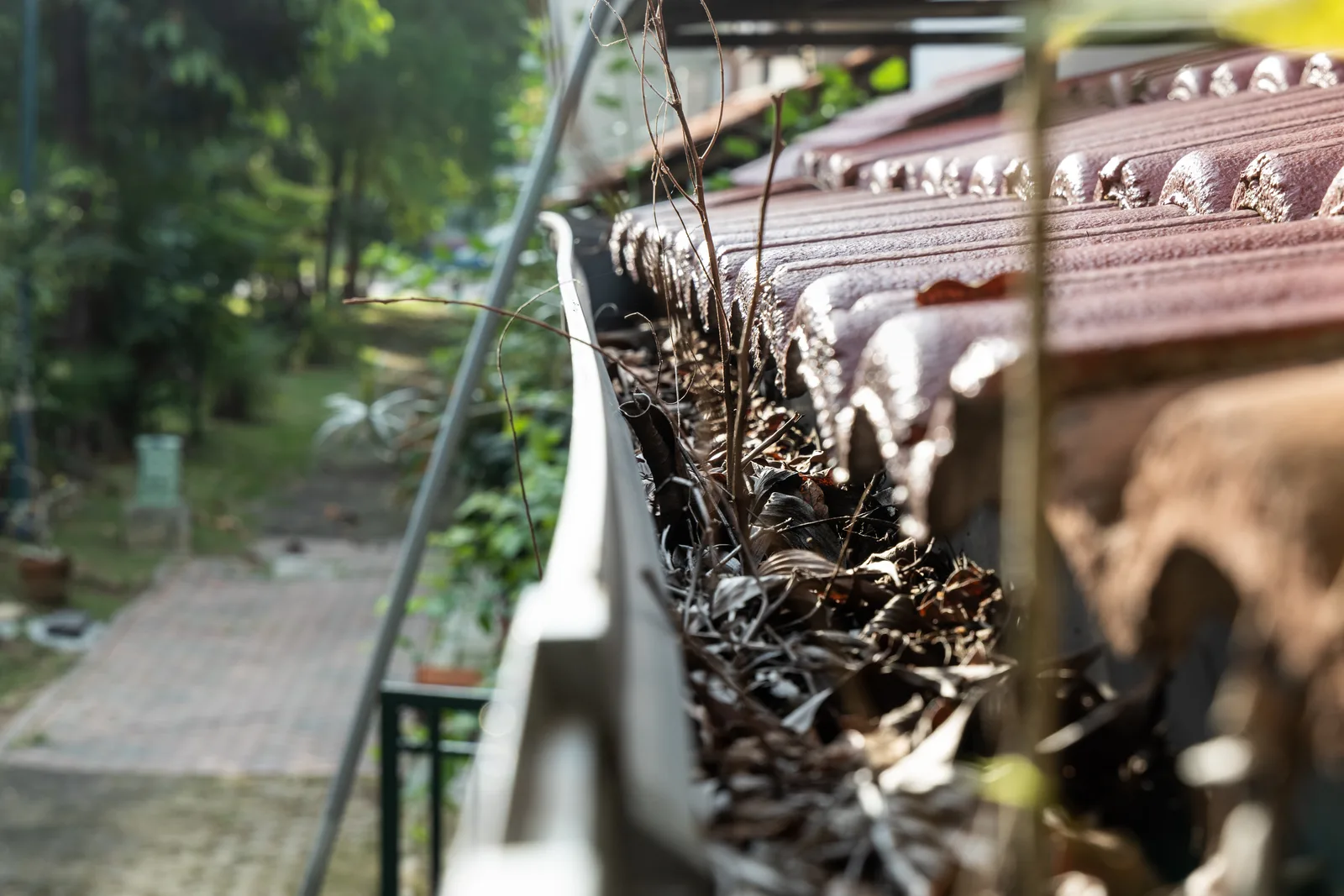 Gutter inspection and debris removal