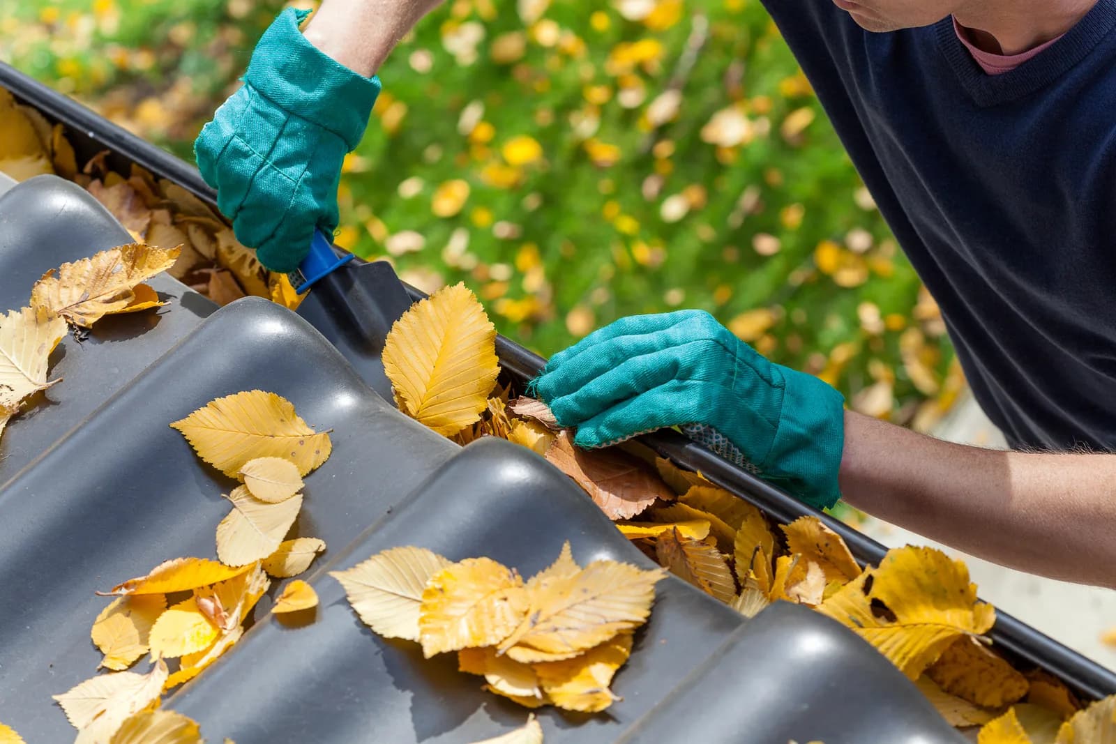 Gutter Cleaning Frequency Guide