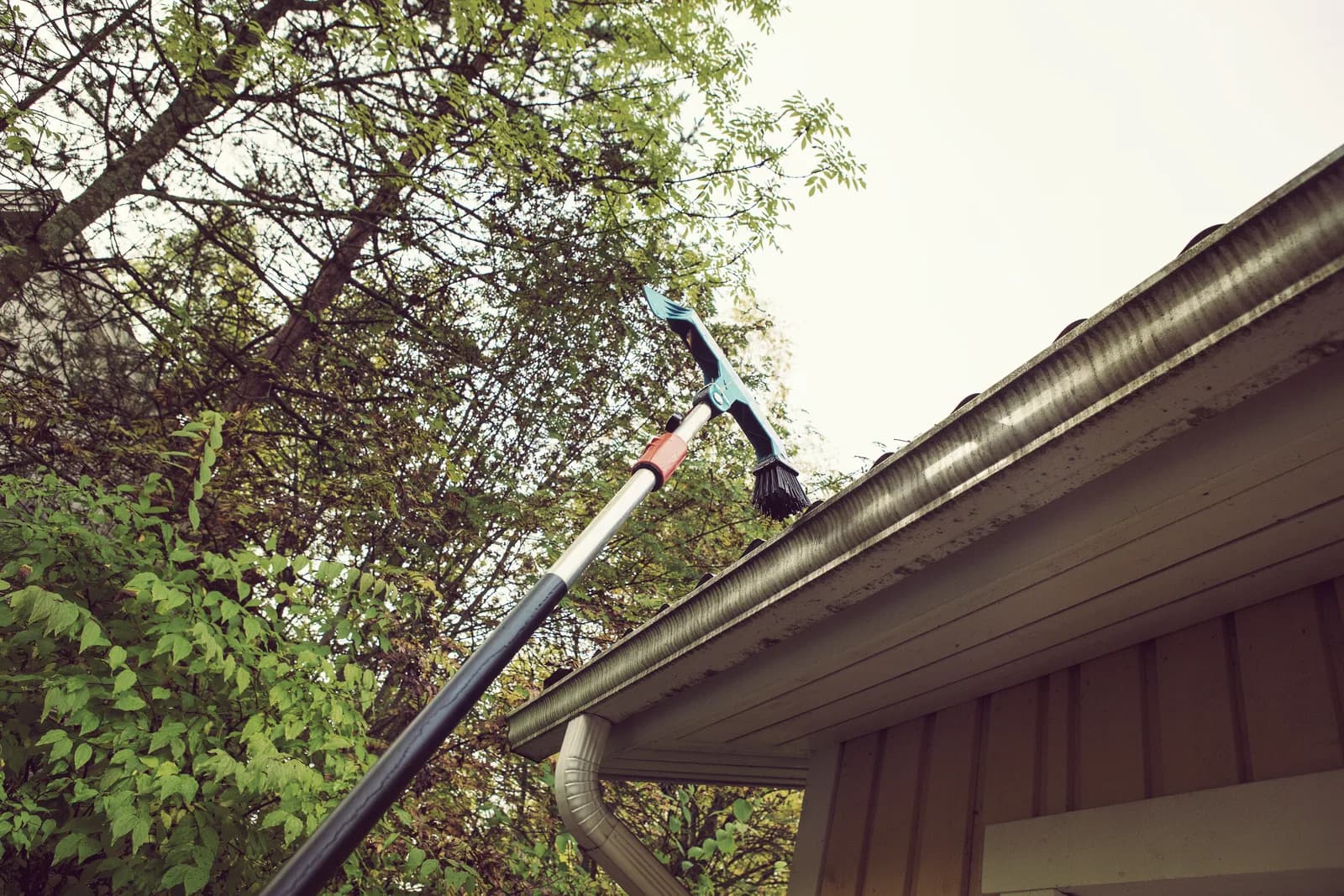 Tackling Coastal Foliage and High Salt Humidity